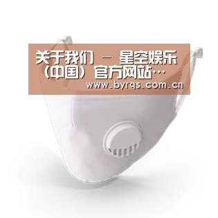N95 口罩