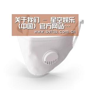 N95 口罩