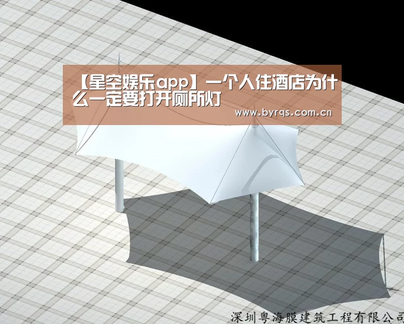 【星空娱乐app】一个人住酒店为什么一定要打开厕所灯(图3) 星空娱乐app