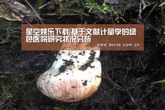 星空娱乐官网