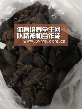体育培养学生团队精神和合作能力研究“星空娱乐下载”(图1) 星空娱乐