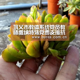巩义市教体系统党员教师缴纳特殊党费支援抗疫【星空娱乐官网】(图4) 星空娱乐下载