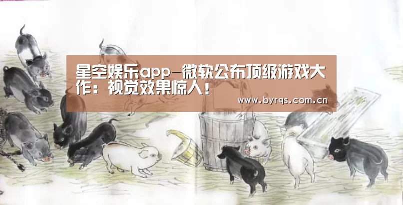 星空娱乐